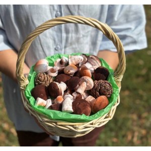 Грибное лукошко