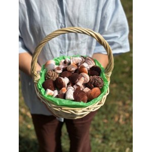 Грибное лукошко