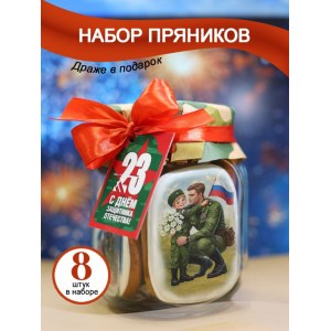 Подарочный набор имбирных пряников на 23 февраля